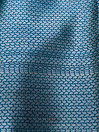 Rama Colour Warm Silk Big Silver Fancy carry Buta Saree