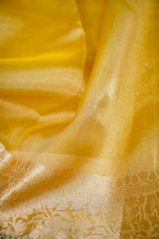 Honey Gold Maharani Tissue Banarasi Silk Saree