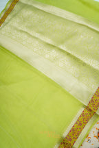 Pista Banarasi Cotton Silk Saree with Plain Body & Tilfi Floral Border